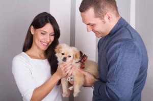 happy couple playing with the dog at home