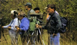 '...the Second Rule of Fight Club,' lol