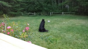 20140910_190455_resized