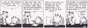 courtesy…(we hope!) of Bill Watterson