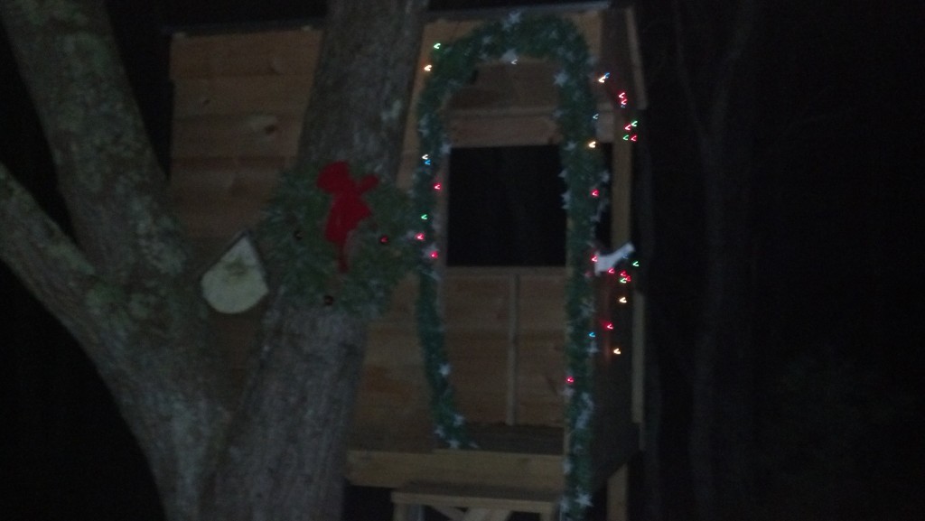 …and, I quote from the subject line of Phyllis' email with attached photo: "The tree fort ablaze with Christmas lights"